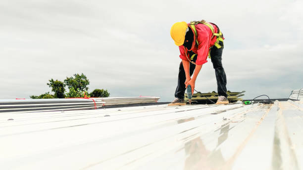Best Solar Panel Roofing Installation  in Hillsboro, TX